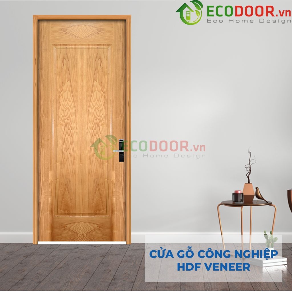 Mẫu cửa nhà đẹp gỗ HDF Veneer 1B soi-ECD